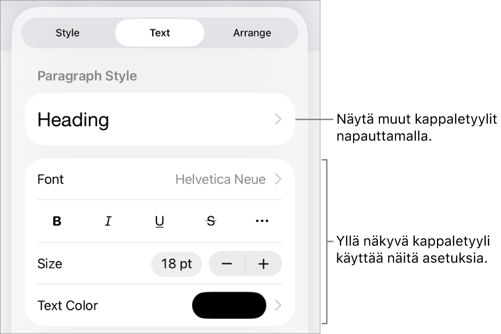 Muoto-valikko, jossa on tekstisäätimet kappale- ja merkkityylien, fontin, koon ja värin valitsemista varten.