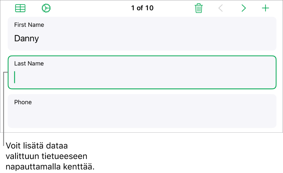 Lomakkeen tietue, jossa näkyy aktiivinen kenttä ja lisäyskohta.