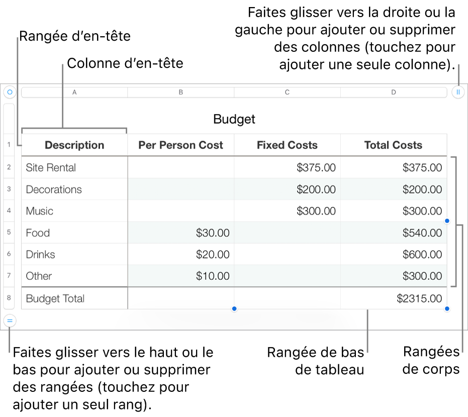 Tableau affichant des rangées et des colonnes d’en-tête, de corps et de bas de tableau, et poignées pour ajouter ou supprimer des rangées ou des colonnes.