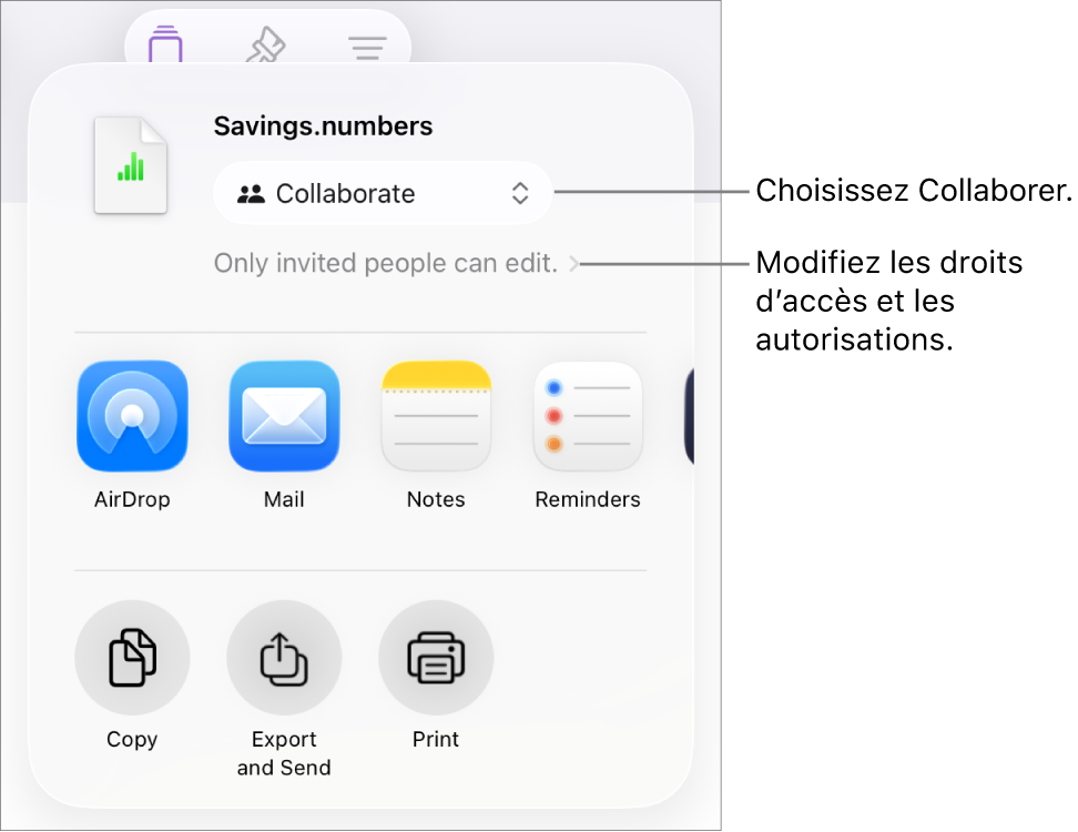 Le menu Partager avec l’option Collaborer sélectionnée dans le haut, au-dessus des réglages d’accès et d’autorisation.