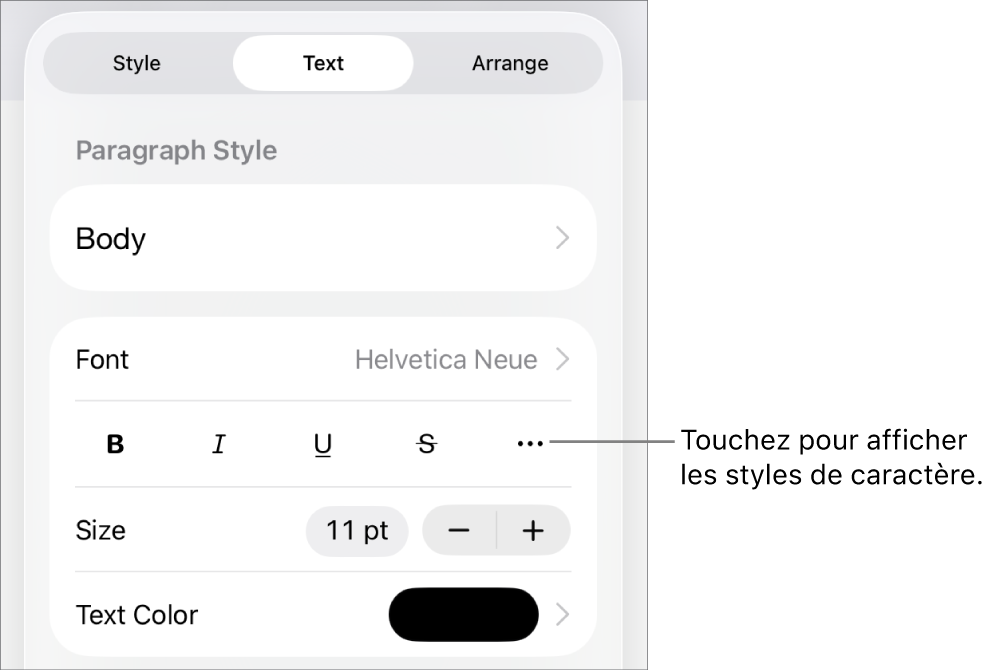 Les commandes de Format avec les styles de paragraphes en haut, puis les commandes de Police. Sous Police se trouvent les boutons Gras, Italique, Souligné, Barré et Plus d’options de texte.