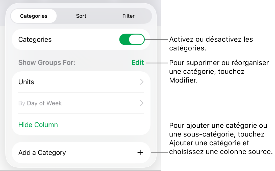 Le menu Catégories pour l’iPad avec des options pour désactiver des catégories, supprimer des catégories, regrouper des données, masquer une colonne source et ajouter des catégories.