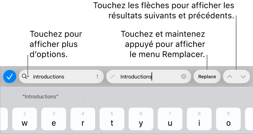 Les commandes Rechercher et remplacer au-dessus du clavier avec des légendes pour les boutons Options de recherche, Monter et Descendre.