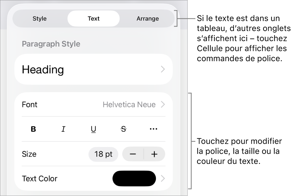 Commandes de texte du menu de format permettant de définir les styles, la police, la taille et la couleur des paragraphes et des caractères.