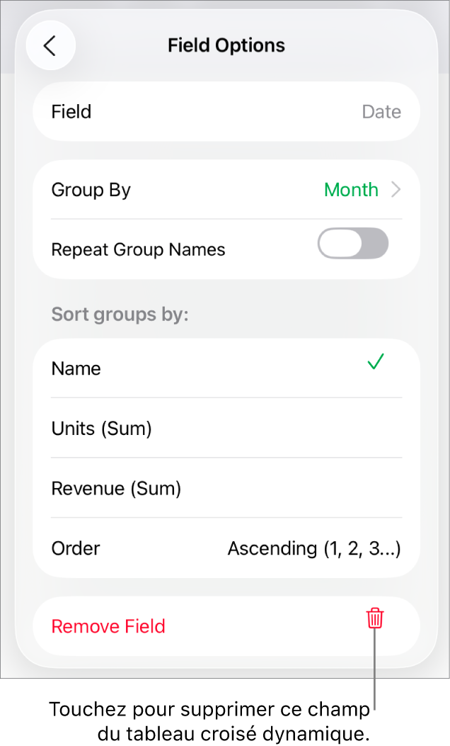 Menu Options de champ avec commandes de regroupement et de tri des données, ainsi que l’option de suppression de champ.