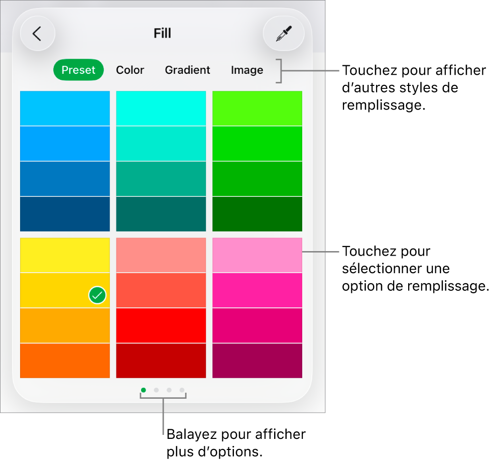 Options de remplissage de l’onglet Style du bouton Format.