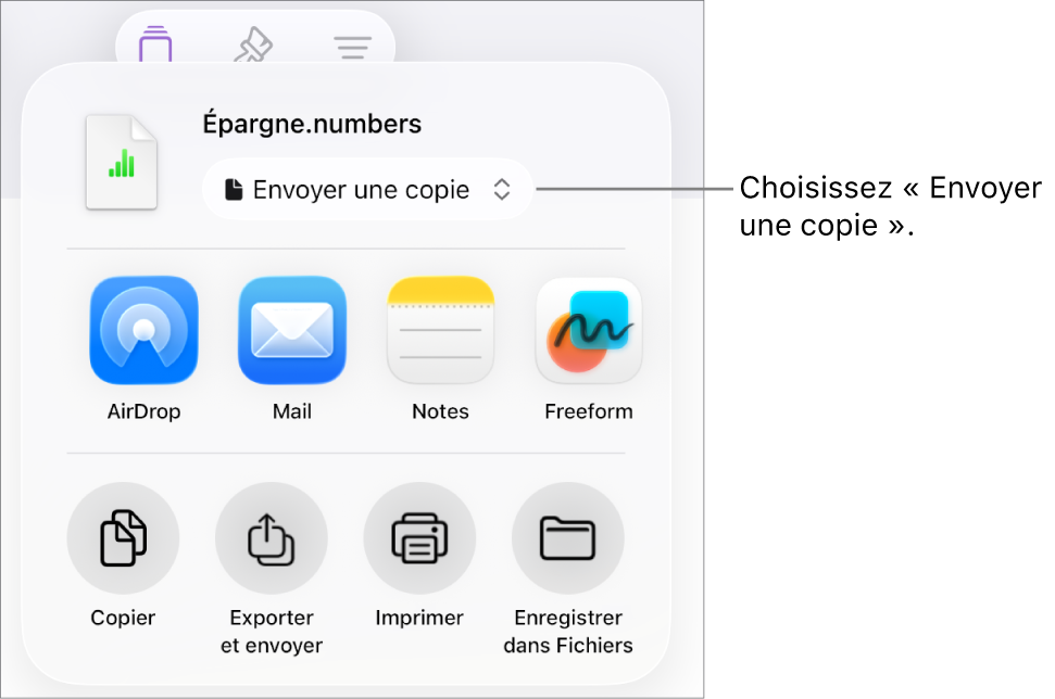 Le menu Partager avec l’option Envoyer une copie sélectionnée en haut.