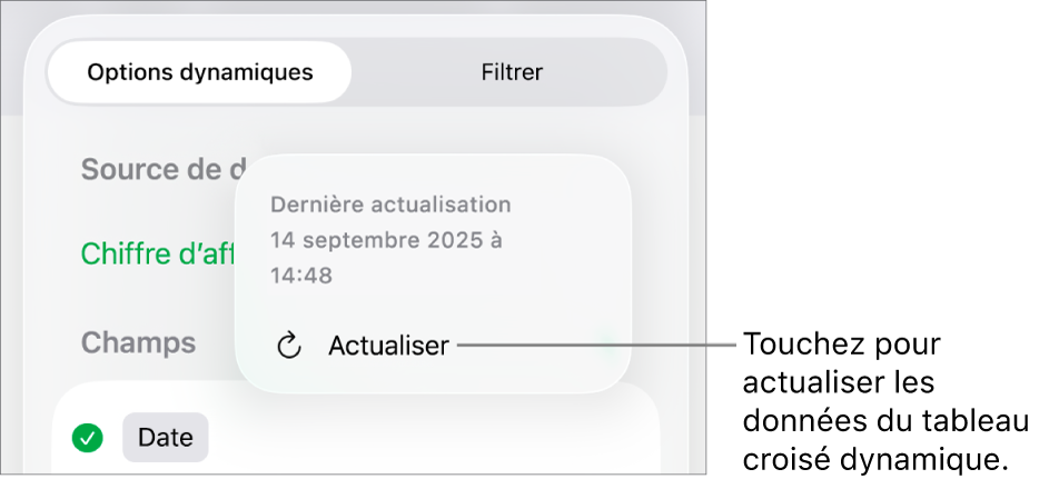 Menu Options dynamiques affichant l’option d’actualisation du tableau croisé dynamique.