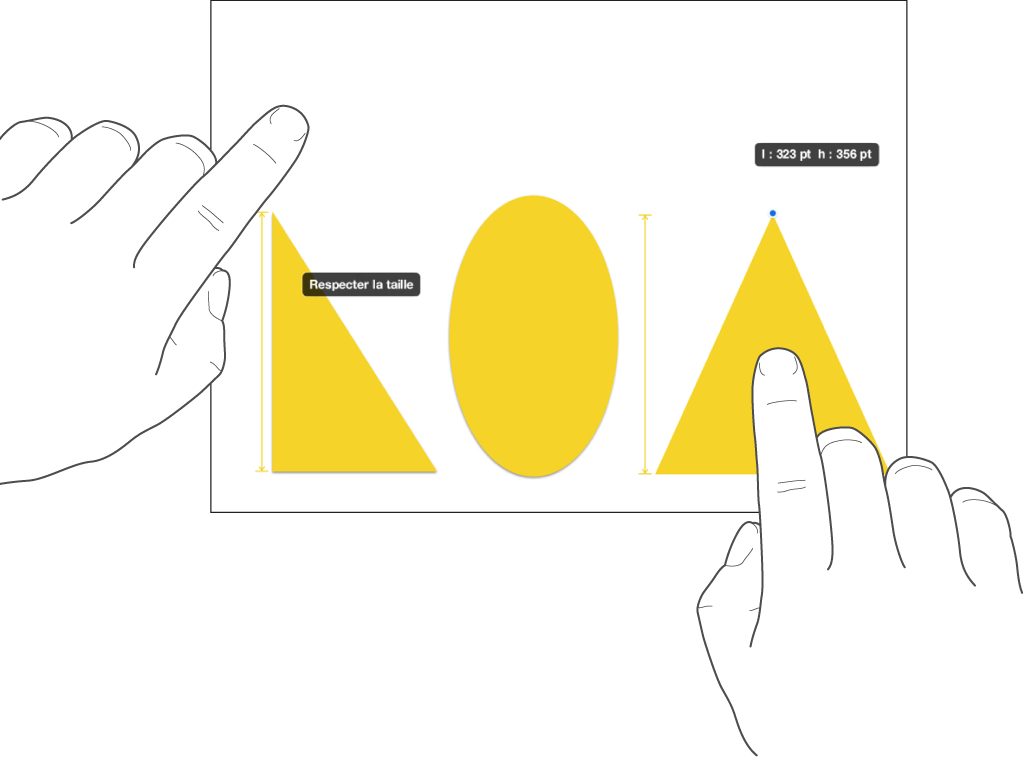 Un doigt juste au-dessus d’une figure et un autre tenant un objet avec « Respecter la taille » à l’écran.