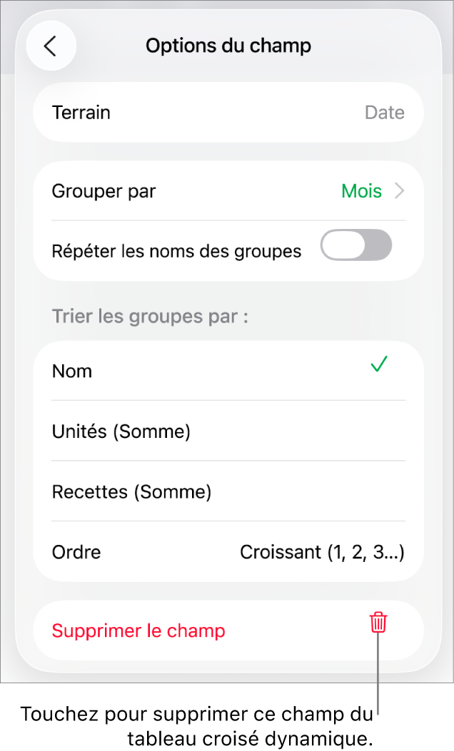Le menu « Options du champ » affichant les commandes permettant de regrouper et de trier les données, ainsi que l’option de suppression d’un champ.