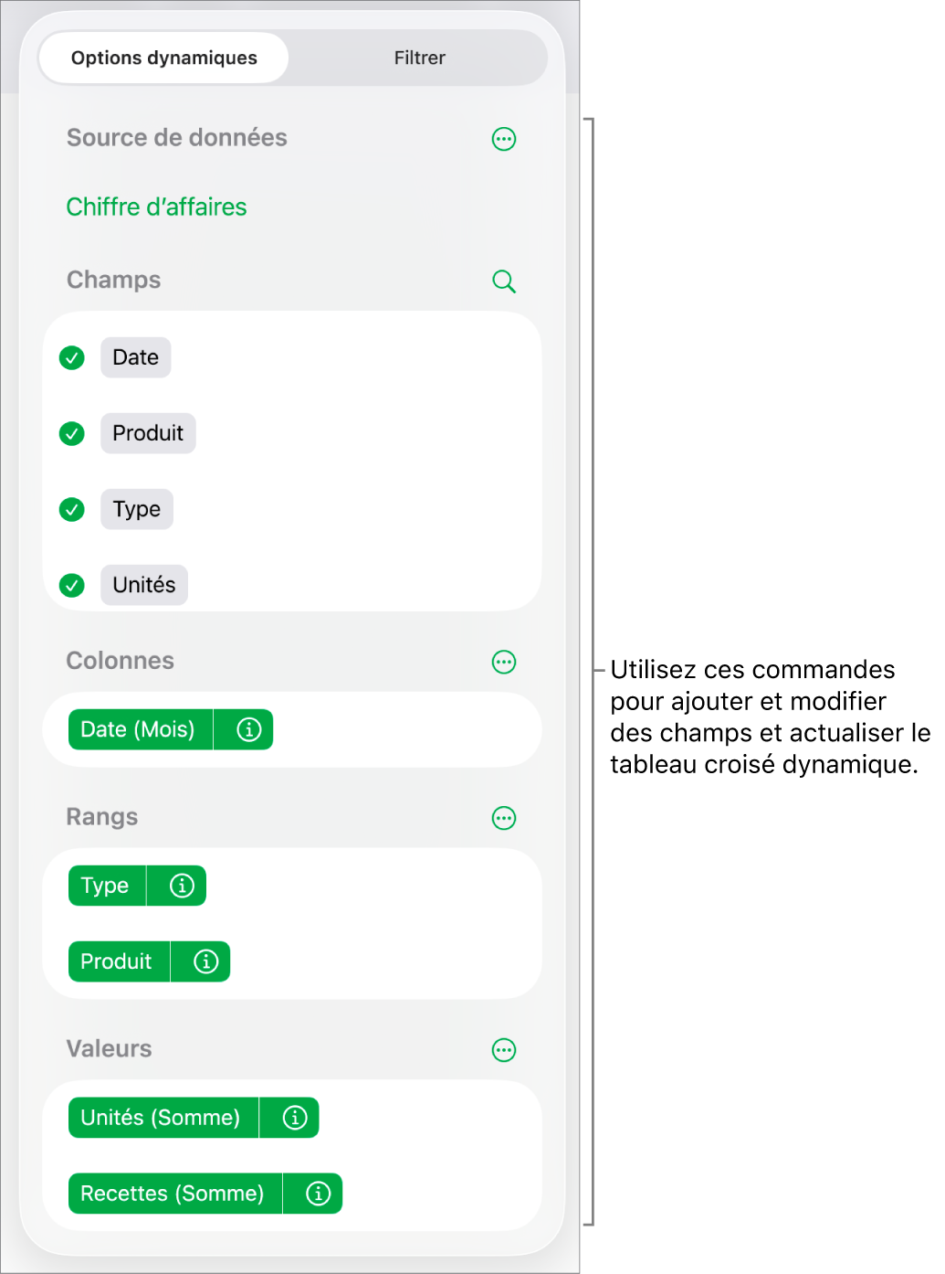Le menu « Options dynamiques » affichant des champs dans les sections Colonnes, Rangs et Valeurs, ainsi que des commandes permettant de modifier les champs.