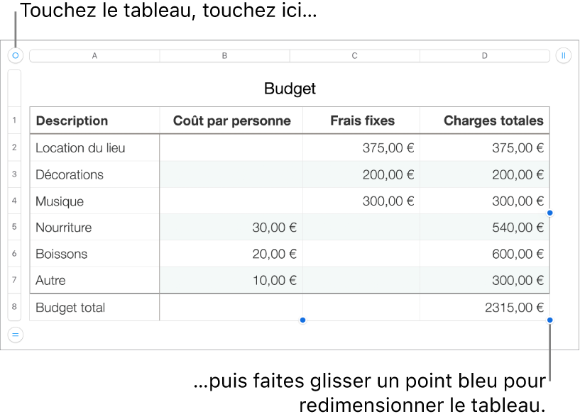 Un tableau sélectionné avec des points bleus pour le redimensionner.