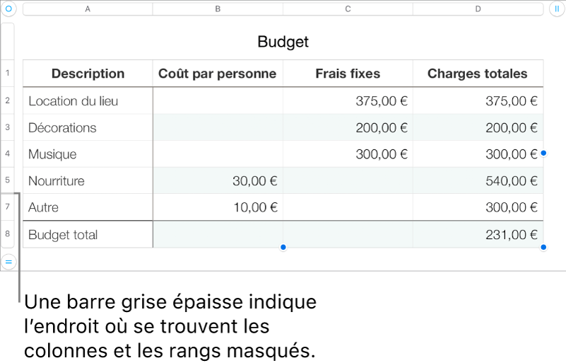 Une barre grise épaisse indique l’emplacement des rangs et des colonnes masqués.