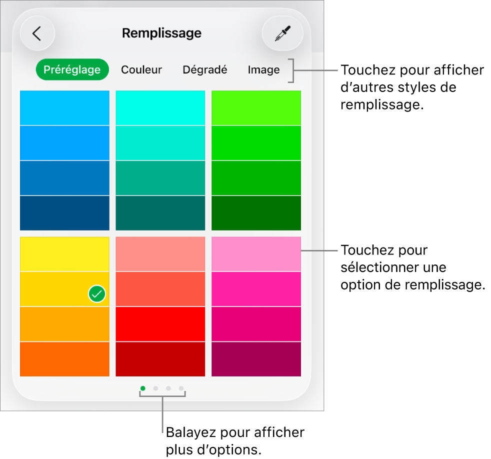 Options de remplissage de l’onglet Style du bouton Format.