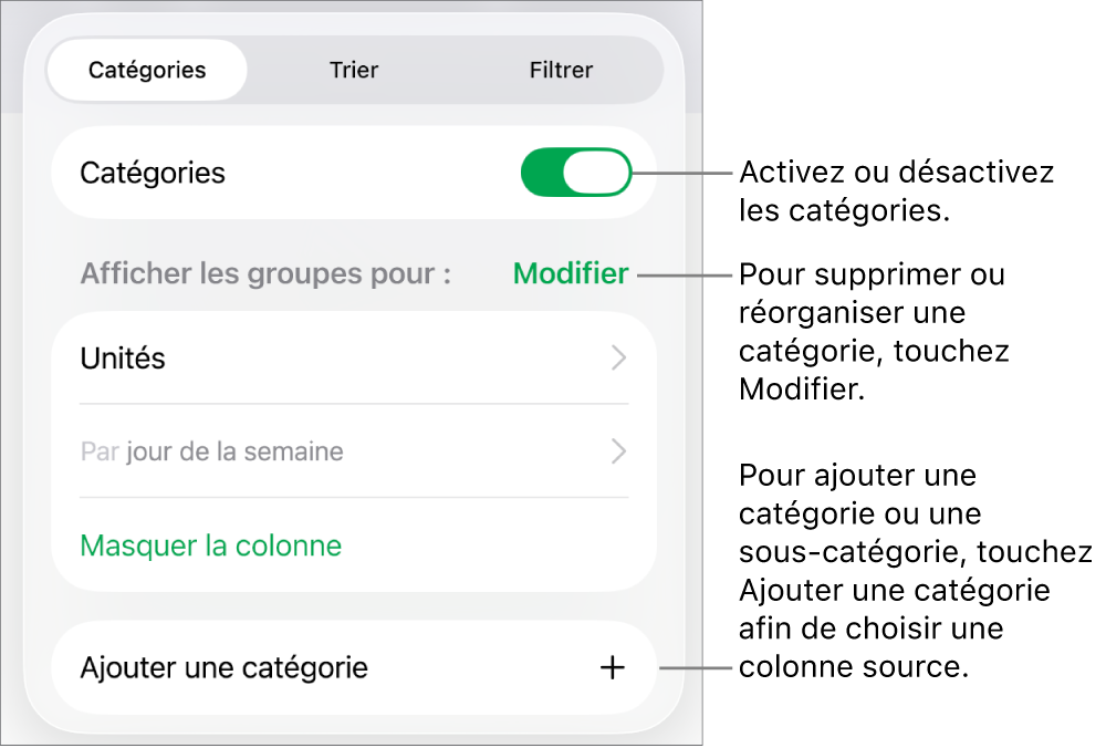 Le menu Catégories pour iPad, avec des options permettant de désactiver les catégories, supprimer des catégories, regrouper des données, masquer une colonne source et ajouter des catégories.