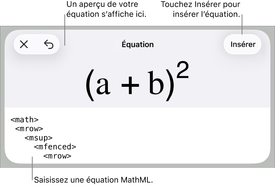 Zone de dialogue Équation, affichant une équation composée à l’aide des commandes MathML, et un aperçu de la formule au-dessus.