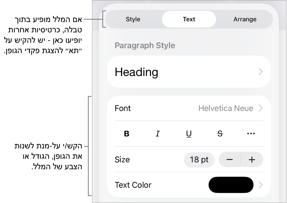 כלי בקרה של מלל בתפריט ״עיצוב״ להגדרת סגנונות, גופן, גודל וצבע עבור פיסקאות ותווים.