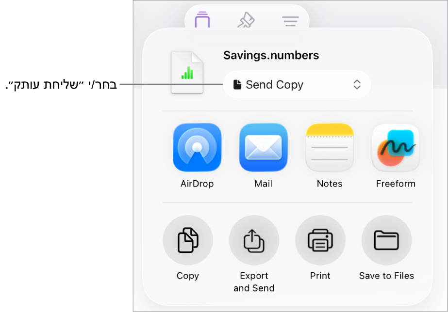 תפריט השיתוף כאשר האפשרות ״שלח/י עותק״ נבחרת בחלק העליון.