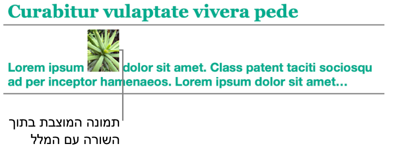 תמונה ממוקמת בתוך השורה עם המלל.