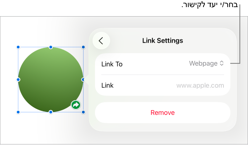 כלי הבקרה של ״אפשרויות קישור״ כאשר האפשרות ״עמוד אינטרנט״ נבחרת ובחלק התחתון מוצג הכפתור ״הסר״.