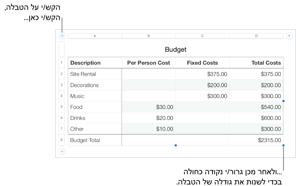 טבלה שנבחרה, עם נקודות כחולות לשינוי גודל.