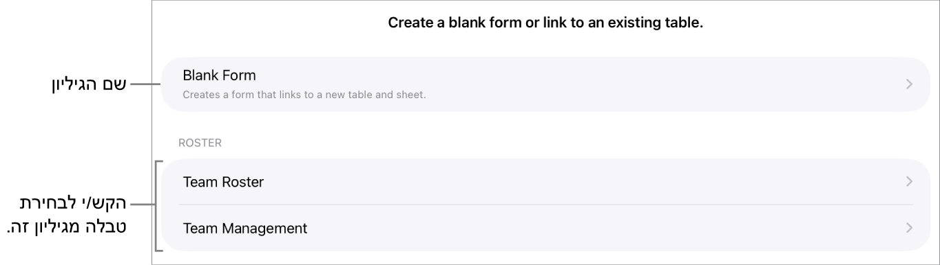 רשימת טבלאות שנמצאות באותו גיליון עבודה, עם אפשרות ליצור טופס ריק בחלק העליון.