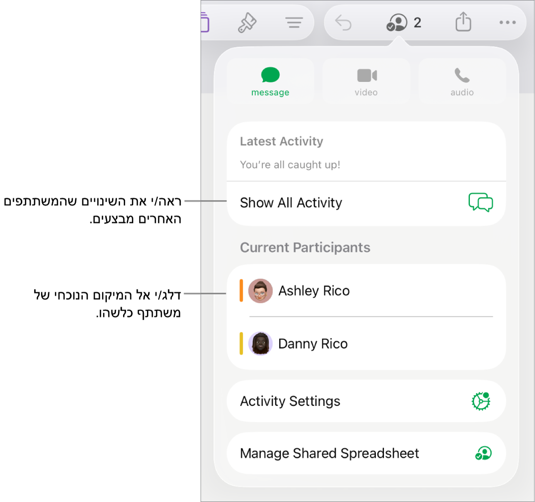 תפריט ״שיתוף פעולה״ שרואים בו משתתפים פעילים כעת.