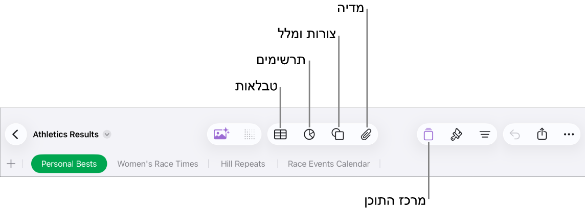 כלי הבקרה להוספת אובייקט, עם כפתורים בחלק העליון לבחירת טבלאות, תרשימים, צורות (כולל קווים ותיבות מלל) ומדיה.