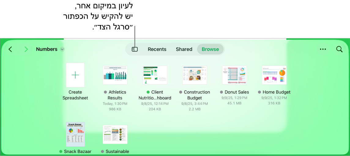 תצוגת העיון של מנהל המסמכים עם קישור למיקום בפינה הימנית העליונה ומתחתיו שדה חיפוש. בפינה השמאלית העליונה רואים את הכפתור ״הוסף גיליון עבודה״; את הכפתור ״תיקיה חדשה״; תפריט קופצני לבחירת תצוגת רשימה או סמלים ולסינון לפי שם, תאריך, גודל, סוג ותג; ואת הכפתור ״בחר״. מתחת לפקדים אלה ישנן תמונות ממוזערות של גיליונות עבודה קיימים.