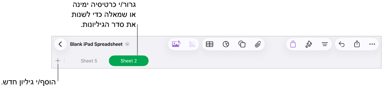 סרגל הלשוניות המאפשר הוספת גיליון חדש, ניווט, שינוי הסדר וארגון מחדש של הגיליונות.