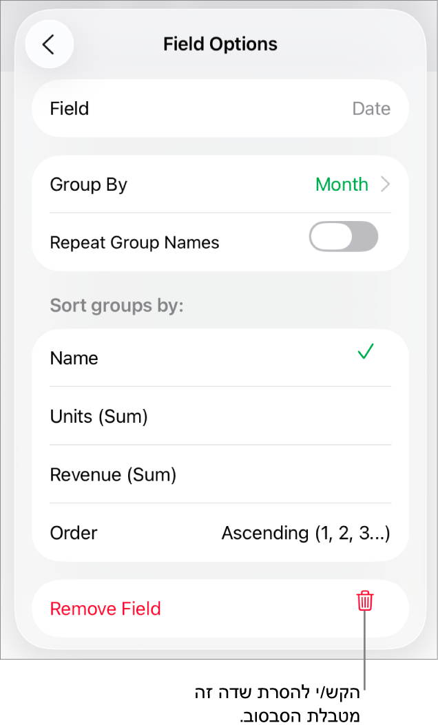 התפריט ״אפשרויות שדה״, שבו מוצגים פקדים לקיבוץ ומיון של נתונים, וכן האפשרות להסיר שדה.