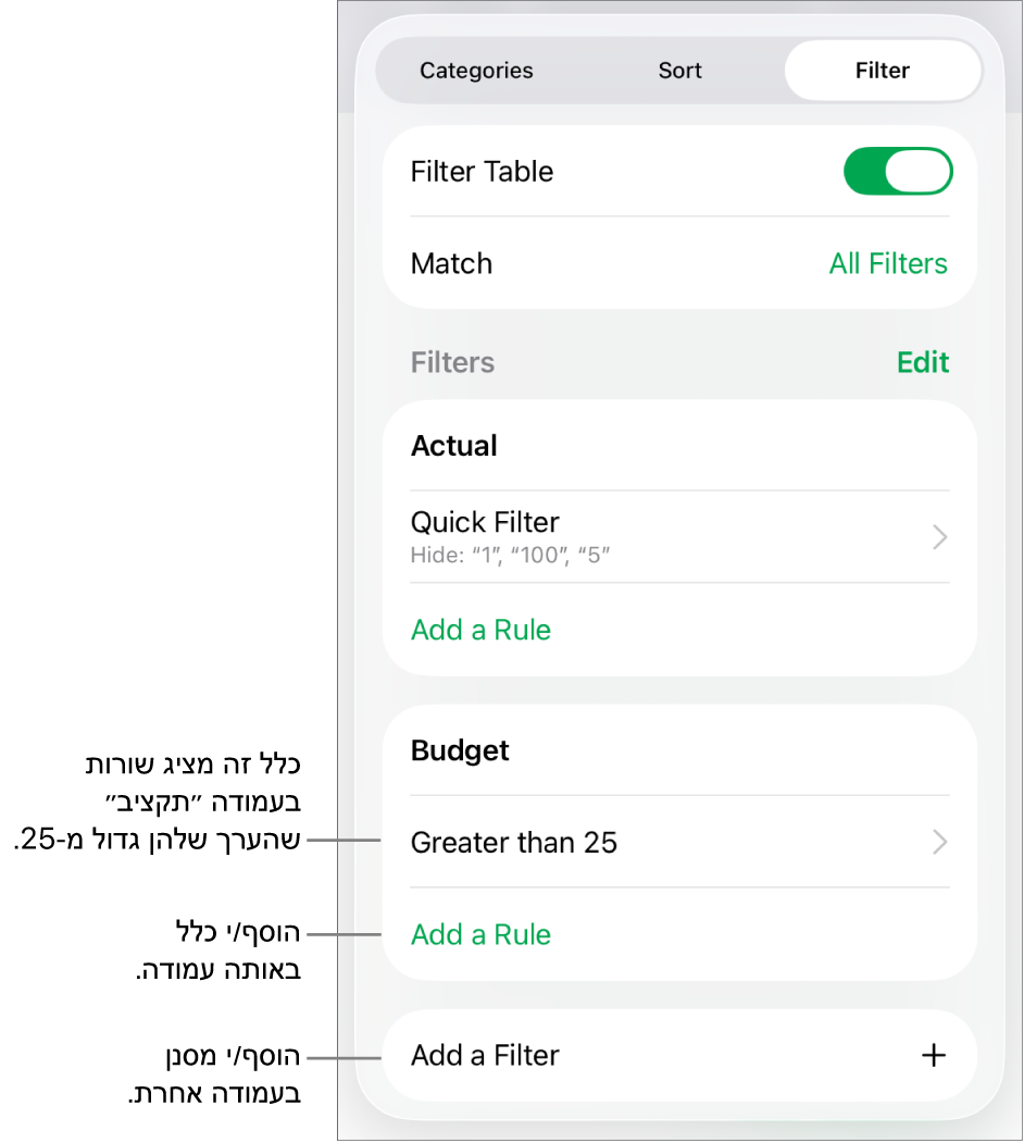 כלי בקרה להוספת כללי סינון חדשים או לעריכת כללים קיימים.