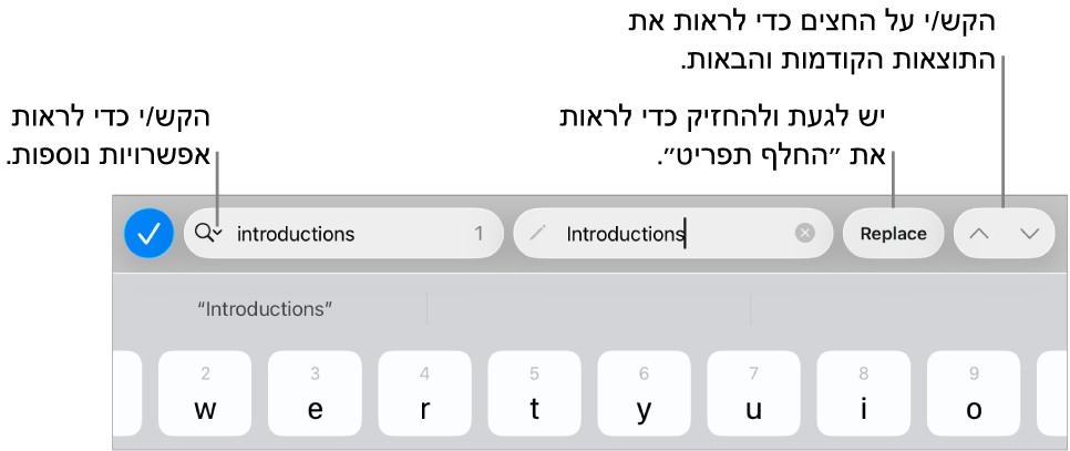 פקדי ״חפש והחלף״ מעל למקלדת עם הסברים לכפתורים ״אפשרויות חיפוש״, ״החלף״ ומעבר למעלה/מעבר למטה.