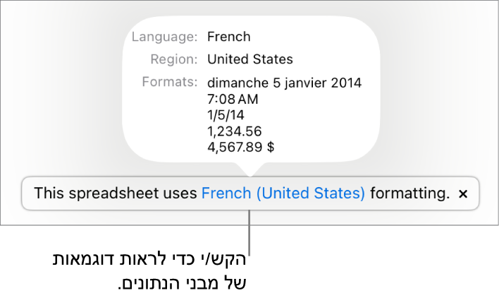 ההודעה לגבי הגדרת השפה והעיצוב השונים, עם דוגמאות של העיצוב בשפה זו ובאזור זה.