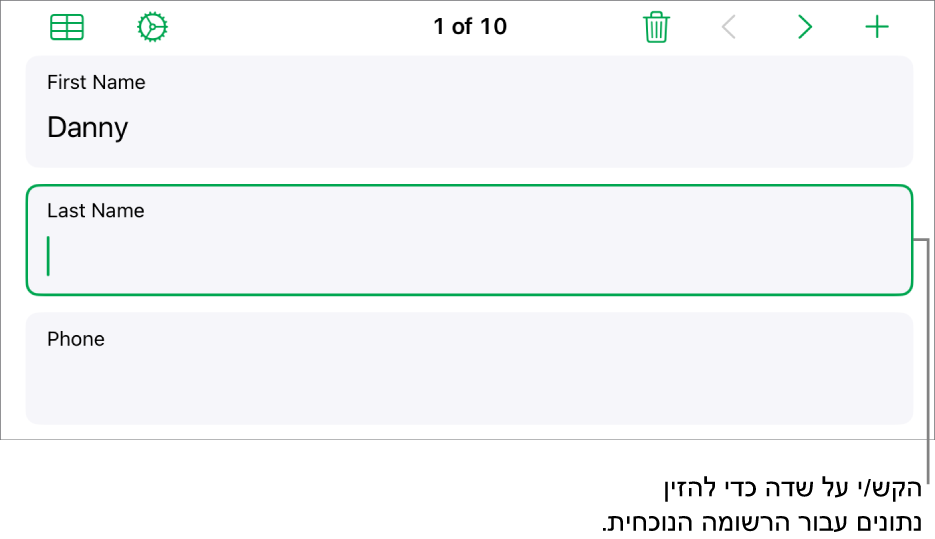 רשומה בטופס המציגה שדה פעיל עם נקודת כניסה.