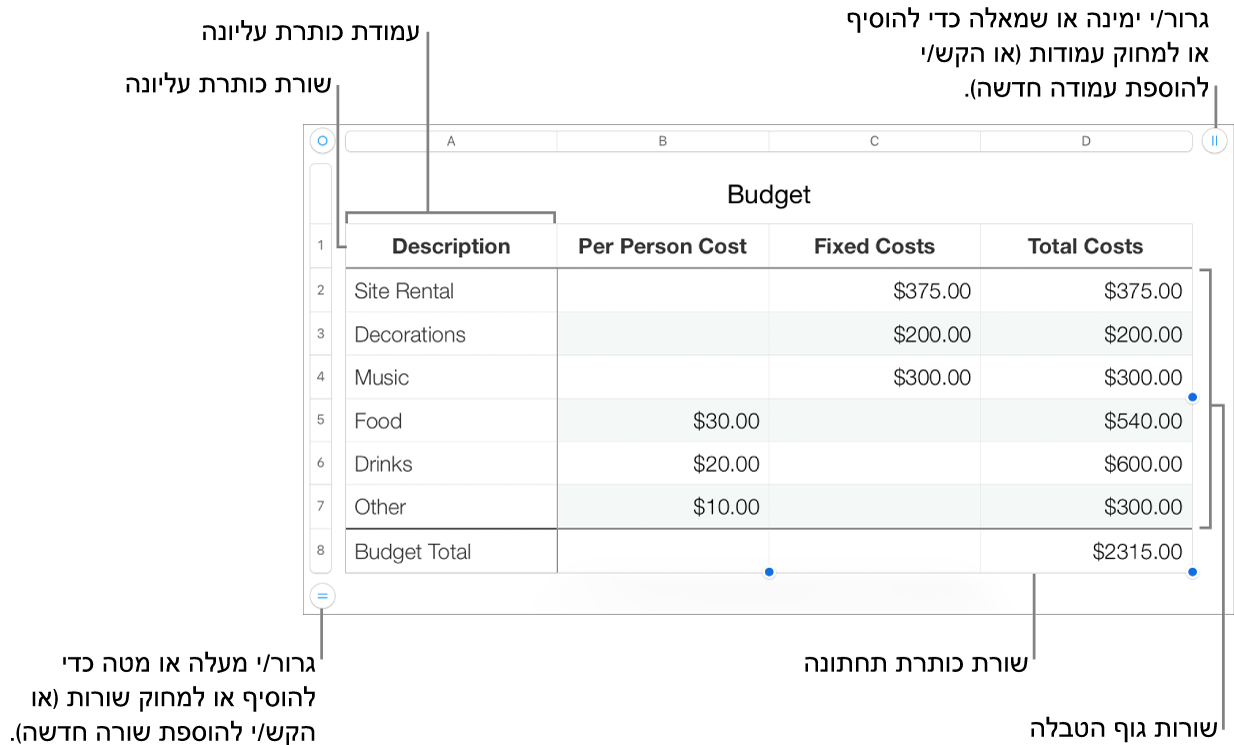 טבלה עם שורות ועמודות כותרת עליונה, גוף טבלה וכותרת תחתונה ועם ידיות אחיזה להוספה או מחיקה של שורות או עמודות.