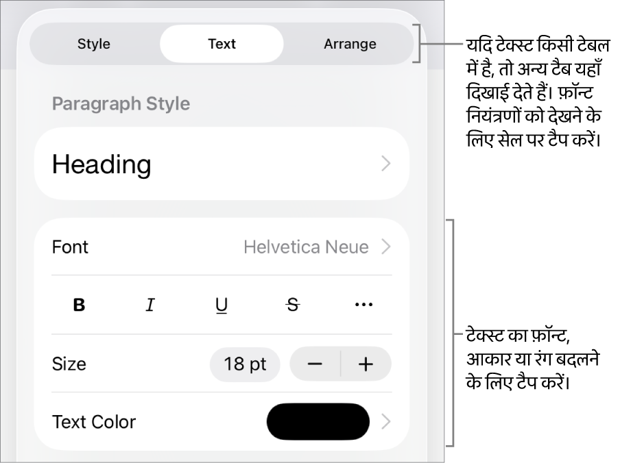 “फ़ॉर्मैट” मेनू में अनुच्छेद सेटिंग और वर्ण शैली, फ़ॉन्ट, आकार और रंग के लिए टेक्स्ट नियंत्रण।