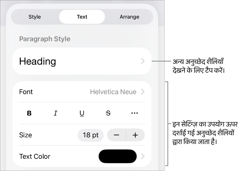 “फ़ॉर्मैट करें” मेनू में अनुच्छेद और वर्ण शैलियाँ, फ़ॉन्ट, आकार और रंग सेट करने के लिए टेक्स्ट नियंत्रण दिखाए जा रहे हैं।