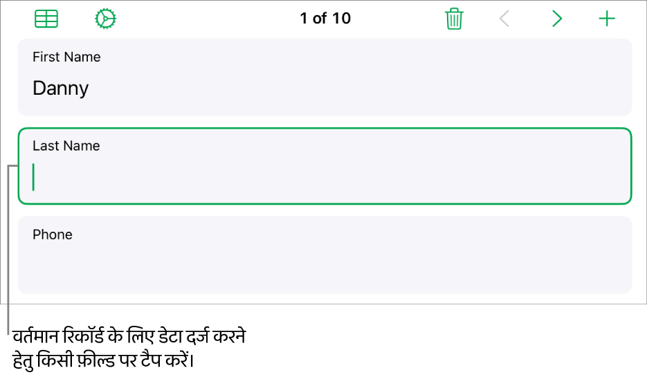 सम्मिलन बिंदु के साथ सक्रिय फ़ील्ड दिखाता हुआ फ़ॉर्म में मौजूद रिकॉर्ड।