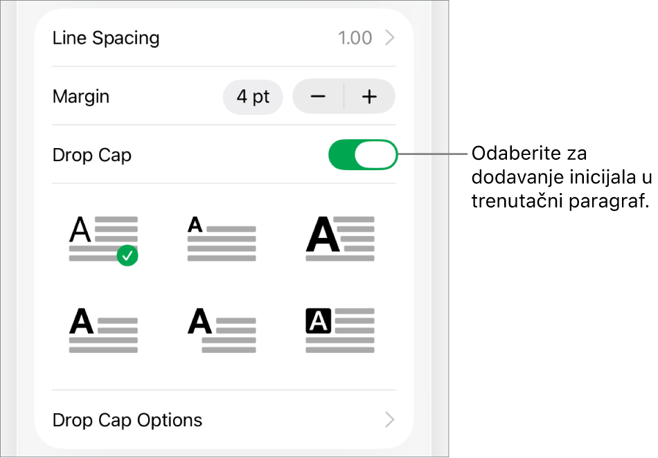 Kontrole opcija Inicijal koje se nalaze u izborniku Tekst.