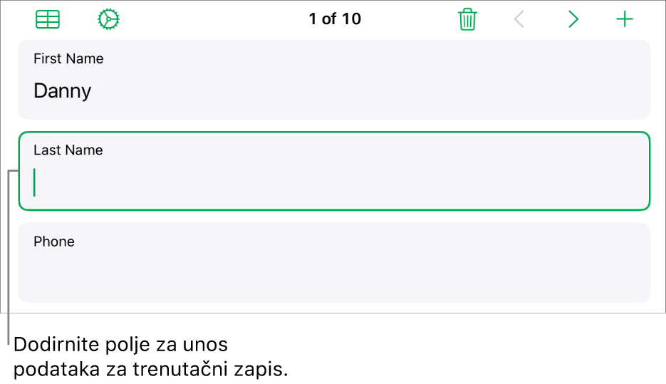 Zapis u obrascu s prikazom aktivnog polja s točkom umetanja.