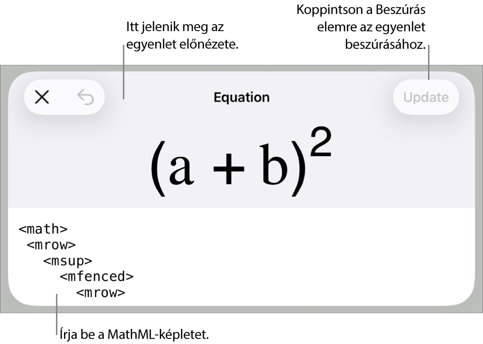 Az Egyenlet párbeszédpanel, amelyen egy, a MathML-parancsok használatával írt egyenlet, felül pedig az egyenlet előnézete látható.