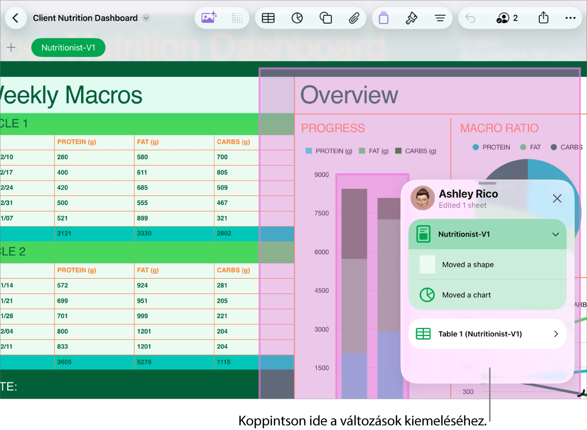 Egy együttműködési munkafüzet a megnyitott tevékenységlistával.