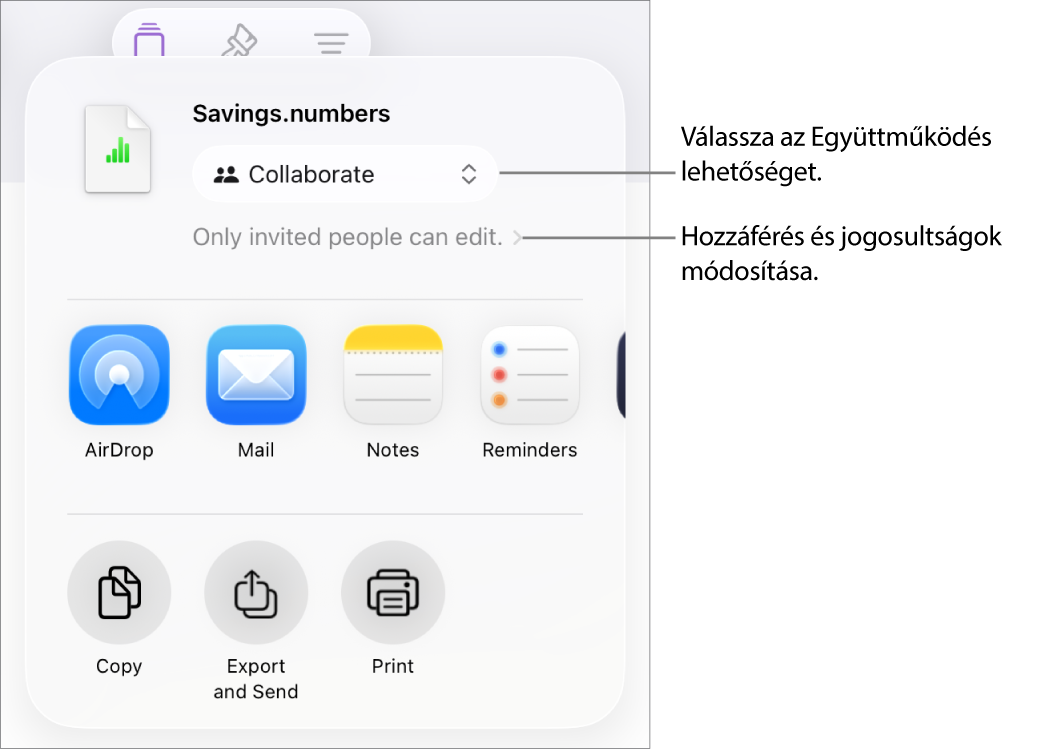 A Megosztás menü a felül kijelölt Együttműködés lehetőséggel, és az alatt látható hozzáférési és jogosultsági beállításokkal.