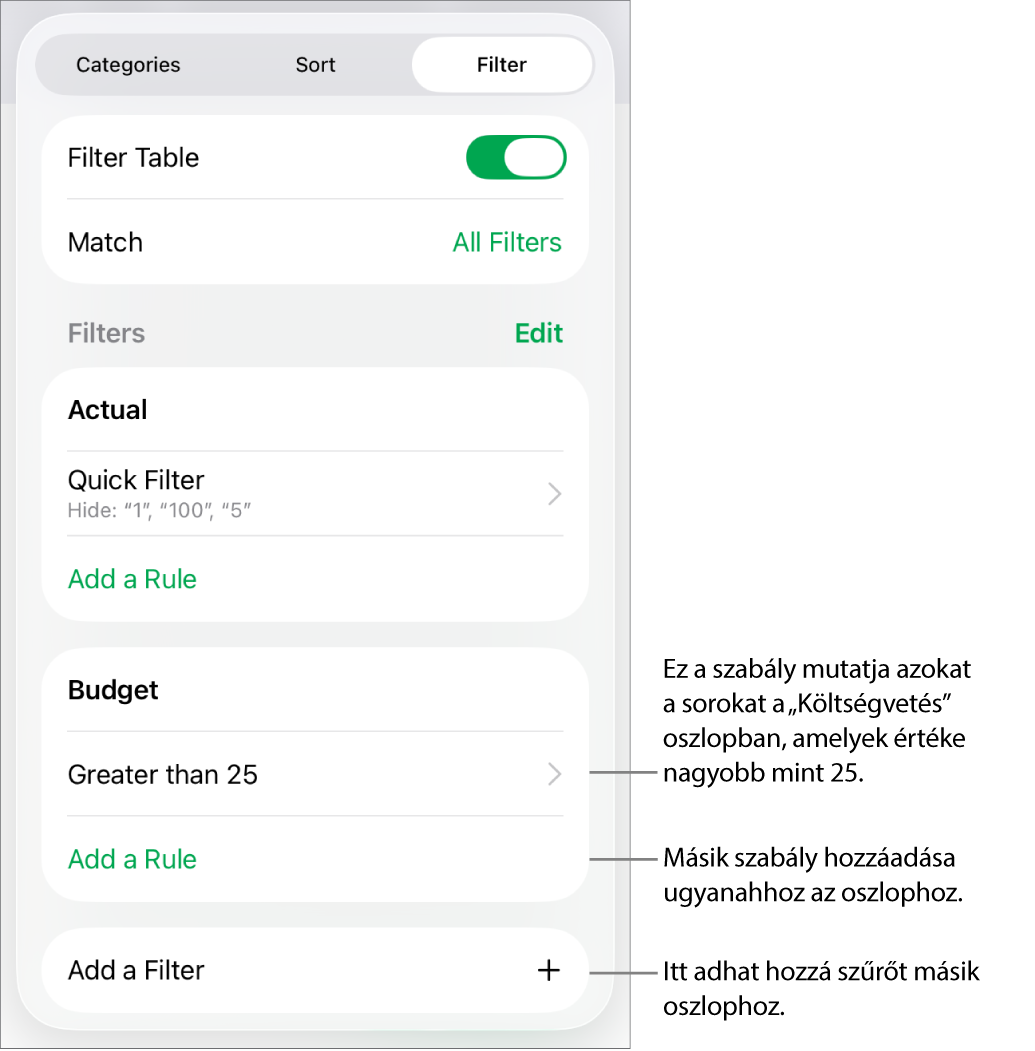 Vezérlők új szűrési szabályok hozzáadásához vagy a meglévők szerkesztéséhez.