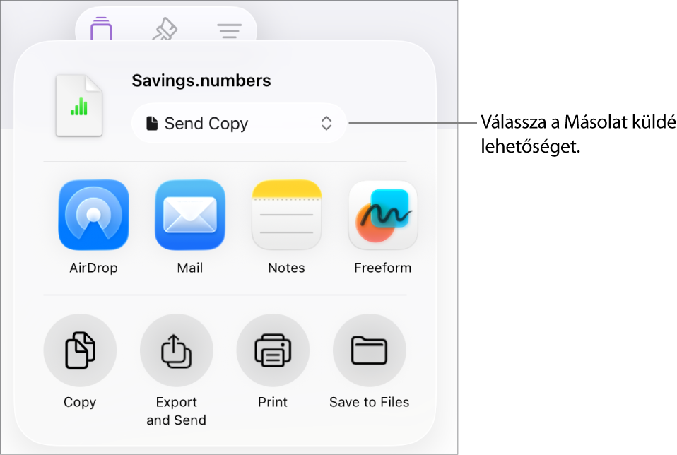 A Megosztás menü a felül elhelyezkedő Másolat küldése lehetőséggel.