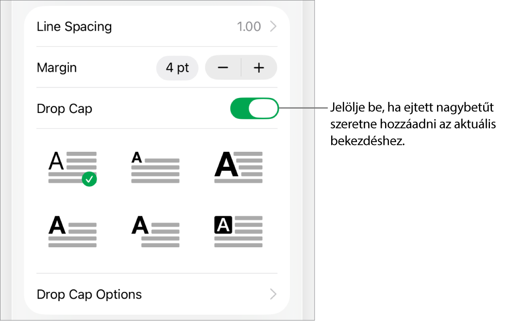 A Szöveg menüben található Iniciálé vezérlők.