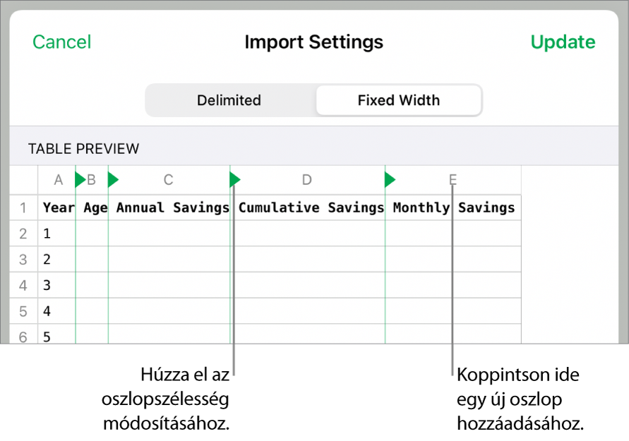 A rögzített szélességű szövegfájlok importálási beállításai.