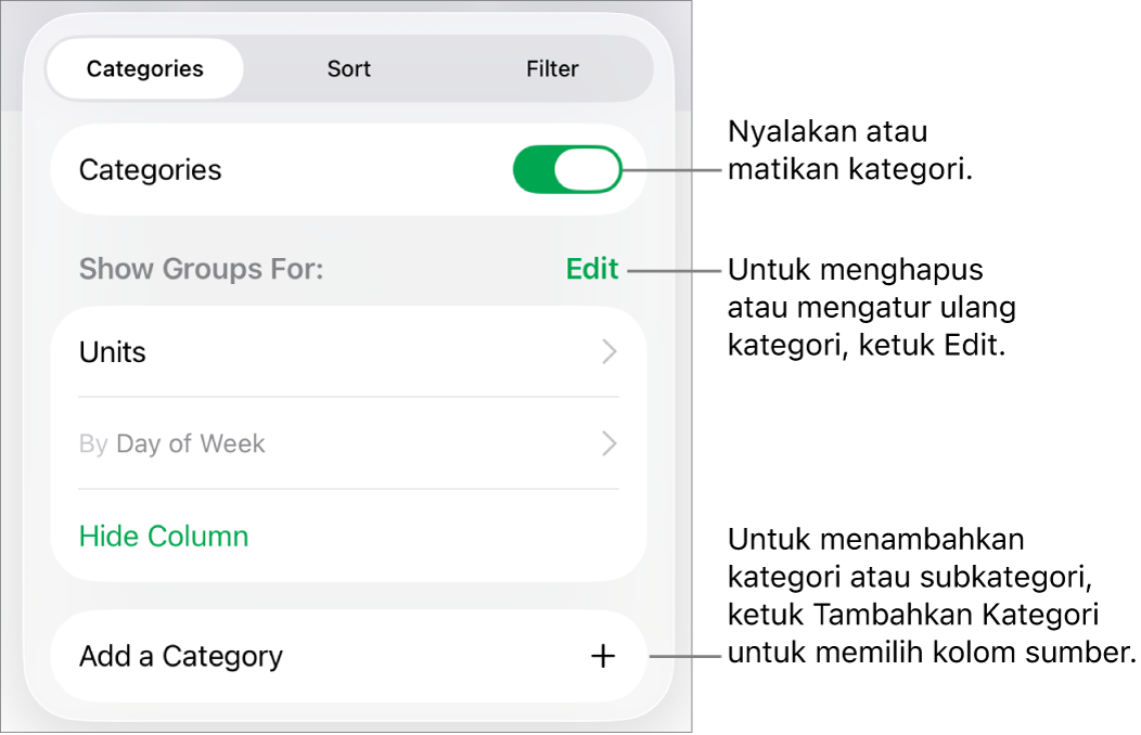 Menu Kategori untuk iPad dengan pilihan untuk mematikan kategori, menghapus kategori, mengelompokkan ulang data, menyembunyikan kolom sumber, dan menambah kategori.