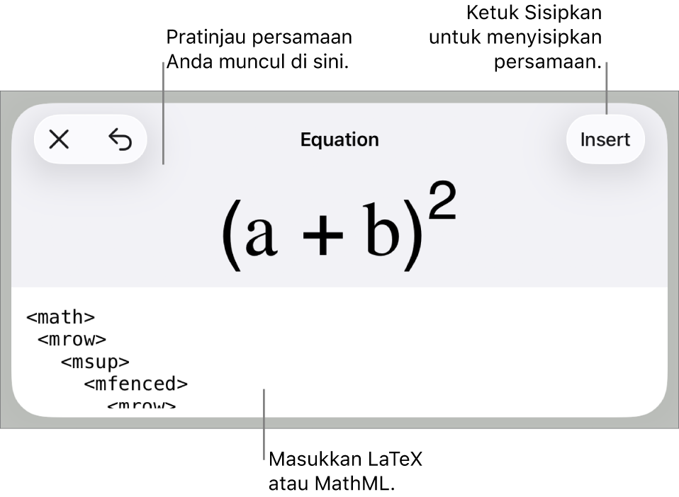 Dialog Persamaan, menampilkan sebuah persamaan ditulis menggunakan perintah MathML, dan pratinjau formula di atas.
